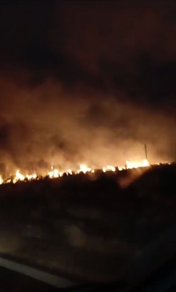 Un gran incendio forestal se reportó en Corrientes y los brigadistas intentan impedir la expansión del fuego